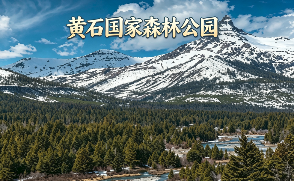 黄石国家森林公园