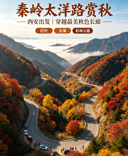 🍂秦岭太洋路赏秋全攻略｜从西安出发，穿越最美秋色长廊